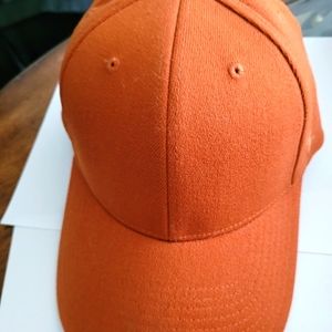 NWOT ZEPHYR BASEBALL HAT
